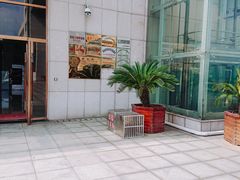 -九江市博物馆
