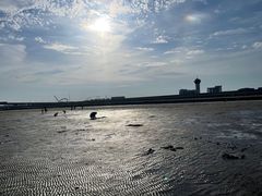 -南汇新城海滩