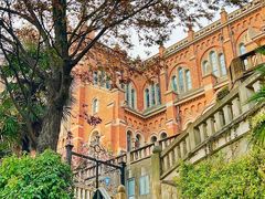 -上海佘山国家森林公园西佘山园