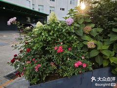 -蘇锦宴·淮扬菜烤鸭·小院(三元桥霄云路店)