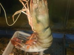 android_upload_pic-老东营·东营菜(西四路店)