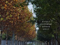 -金海湾滨江公园