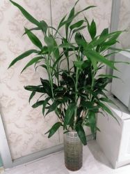 -茜茜美妍堂·华熙生物·甜朵体验中心
