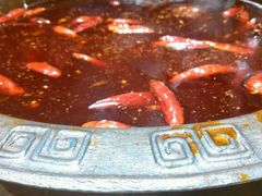 -重庆渝达老火锅(春熙路店)