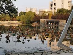 -杭州师范大学(下沙校区)