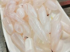 -章记正宗南岗鱼蛋火锅