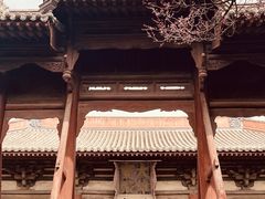 -善化寺