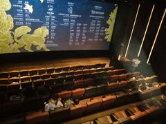 -英皇电影城(英皇集团中心IMAX店)