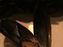 -斯普汇生蚝牛排馆(中骏世界城店)