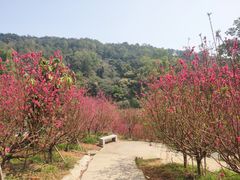 -白水带风景区体育公园