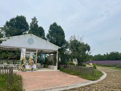 -同里国家湿地公园