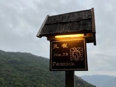 -三亚亚龙湾人间天堂鸟巢度假村