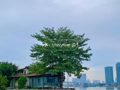 -喜洲吧·江畔老船厂·庭院餐厅(喜临院店)