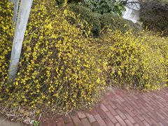 -木槿校园影城(闵行交大菁菁堂店)