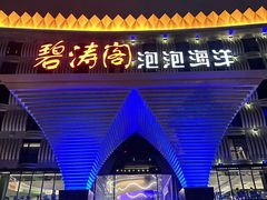 -碧涛阁•泡泡海洋(王府花园店)