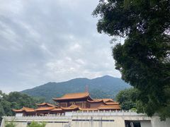 -深圳仙湖植物园
