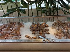 -龙熙维景国际会议中心