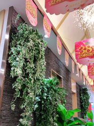 -芳朵美容养生SPA