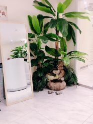 -健身堂科技美肌SPA