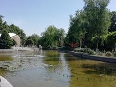-康庄公园