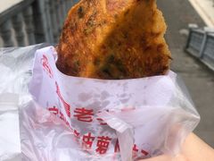 萝卜饺子-半月镰胡姐脆皮萝卜饺子