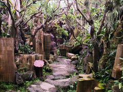 -南通洲际绿博园