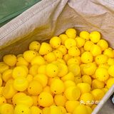 十全街清爽的夏日茶饮“椰子鸡”一定要喝