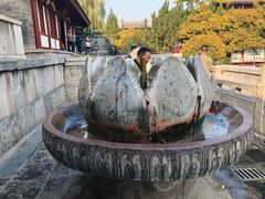 -华清宫景区