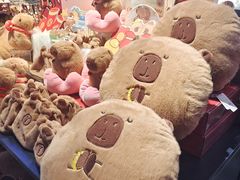 -酷乐潮玩(金桥国际店)