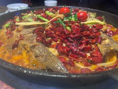 -老板恋上鱼(高新万达店)