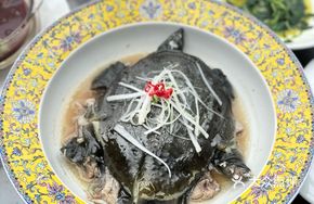 Steamed Giant Softshell Turtle