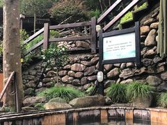 -宁海森林温泉