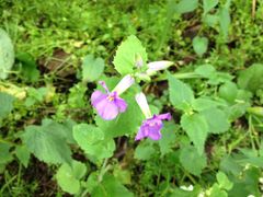 景点-穹窿山景区