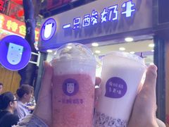 -一只酸奶牛(八一路店)