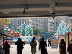-海合安成都极地海洋公园