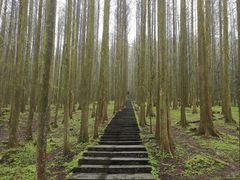 -武陵山森林公园