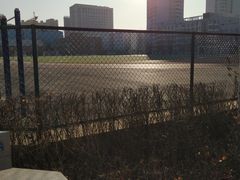 -东北大学(南湖校区)