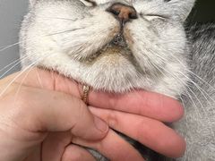 -美联众合动物医院·24h京西诊疗中心