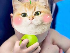 -IBOBI亲子游泳俱乐部(华侨城中心)