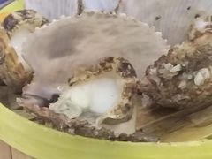 -渡海小渔村.老辈日照菜