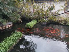 -唐风温泉
