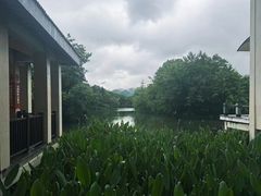 -太极禅苑