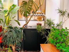 -the fall kaffe乐否咖啡