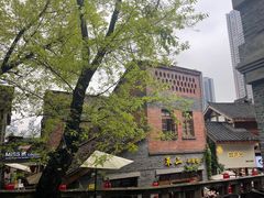 -重庆十八梯传统风貌区