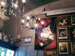 -猫咪博物馆(顶澳仔猫街店)