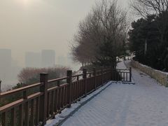 -河北省园博园