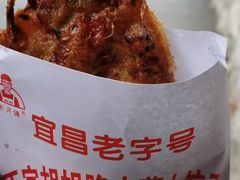 -半月镰胡姐脆皮萝卜饺子