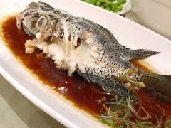 -上海南新雅大酒店