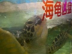 -石家庄海洋公园