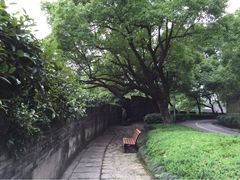 府山公园-府山公园